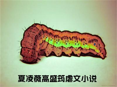 夏凌薇高盛筠(夏凌薇高盛筠)全文免费阅读无弹窗大结局_(夏凌薇高盛筠)小说免费阅读无弹窗最新章节列表_笔趣阁