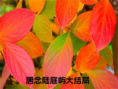 唐念陆庭屿小说全文免费阅读无弹窗-唐念陆庭屿小说全文在线赏析(今日更新最新章节)