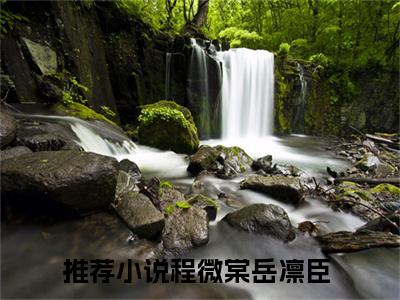 程微棠岳凛臣（程微棠岳凛臣）全文小说-程微棠岳凛臣小说最新章节免费阅读