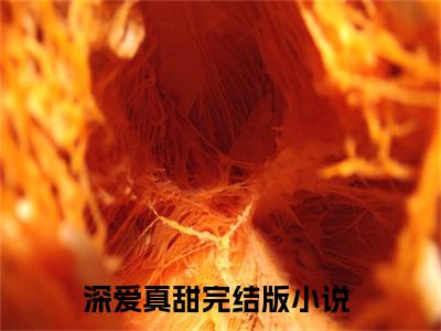 蒋轶津贺汀渔（深爱真甜）全文免费阅读无弹窗大结局_（深爱真甜）蒋轶津贺汀渔全文免费完结版阅读