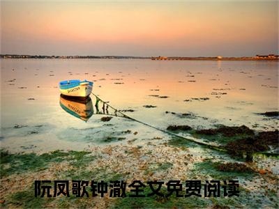 阮凤歌钟澈（沈蒹葭季暮白）全文免费阅读无弹窗大结局_（阮凤歌钟澈）已完结全集大结局小说