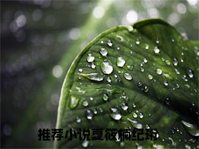 夏筱楠纪珩全文免费阅读无弹窗大结局-夏筱楠纪珩(夏筱楠纪珩小说)最新章节-笔趣阁