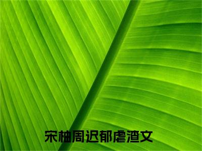 宋柚周迟郁（宋柚周迟郁）全文免费阅读无弹窗大结局_(宋柚周迟郁免费阅读)宋柚周迟郁无弹窗最新章节列表_笔趣阁（宋柚周迟郁）