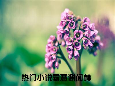 小说推荐霜薏谢闻赫精彩章节全文阅读-（霜薏谢闻赫）新书热荐免费小说