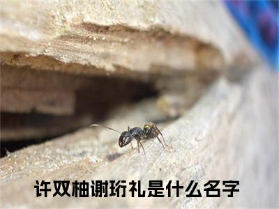 小说（许双柚谢珩礼）免费阅读-小说（许双柚谢珩礼）无弹窗大结局 许双柚谢珩礼全文在线赏析最新章节列表_笔趣阁