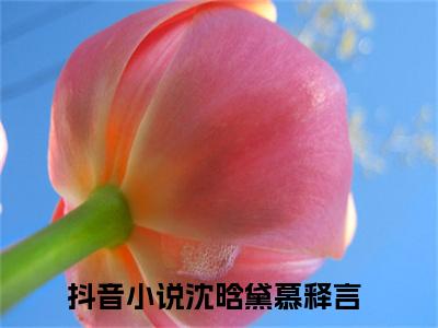 沈晗黛慕释言（沈晗黛慕释言）全文免费阅读大结局-（沈晗黛慕释言）最新章节阅读