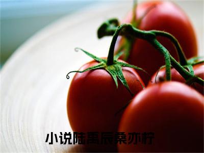 老书虫良心推荐最新小说（陆禹辰桑亦柠）主角陆禹辰桑亦柠全文全章节免费阅读