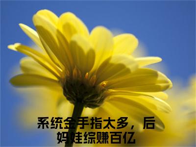 系统金手指太多，后妈娃综赚百亿全文免费在线阅读_（裴钰宋颜汐全文免费阅读无弹窗大结局）系统金手指太多，后妈娃综赚百亿最新章节列表笔趣阁