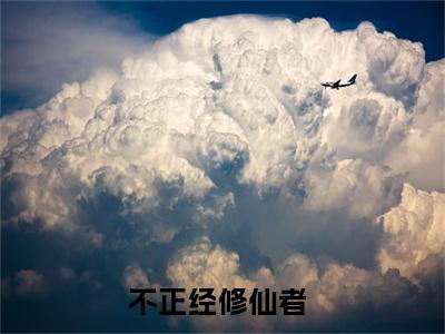 （不正经修仙者）全文免费阅读无弹窗大结局_王天野完整版最新阅读_笔趣阁（不正经修仙者）