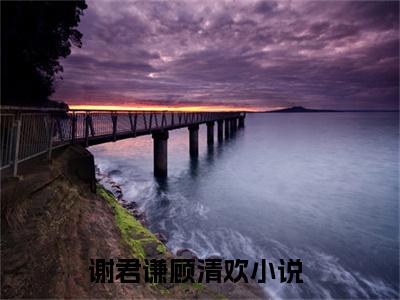 谢君谦顾清欢（谢君谦顾清欢小说）在线阅读全文_谢君谦顾清欢小说免费阅读完结版全文（谢君谦顾清欢）