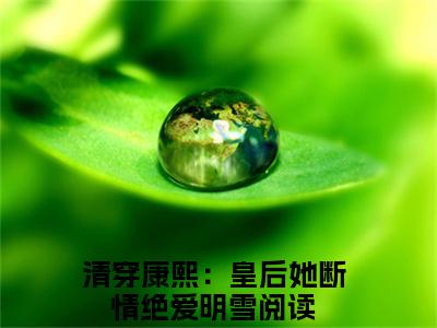 清穿康熙：皇后她断情绝爱明雪全文免费阅读_清穿康熙：皇后她断情绝爱明雪最新小说_笔趣阁