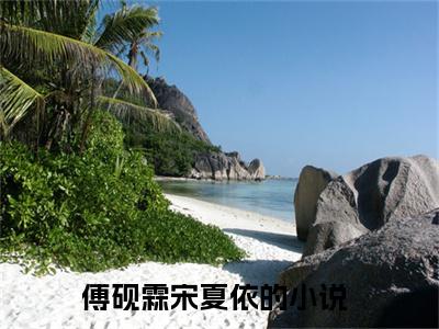 傅砚霖宋夏依小说免费阅读无弹窗-傅砚霖宋夏依（傅砚霖宋夏依）小说免费阅读无弹窗大结局