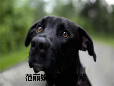 范丽娟蒋嘉祥（范丽娟蒋嘉祥）全文免费阅读无弹窗大结局_范丽娟蒋嘉祥最新章节列表_笔趣阁