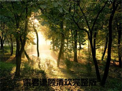 谢君谦顾清欢（谢君谦顾清欢）全文免费阅读无弹窗大结局_谢君谦顾清欢小说在线阅读全文