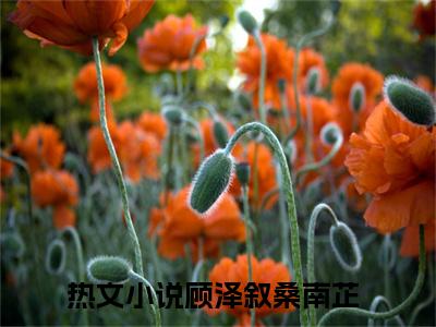 顾泽叙桑南芷精彩章节免费阅读-顾泽叙桑南芷小说完整版