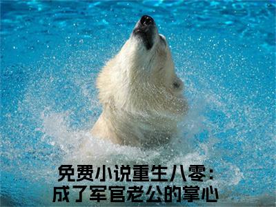 林清清冷辰煜小说（重生八零：成了军官老公的掌心宠）全文在线阅读免费大结局_林清清冷辰煜小说最新章节列表