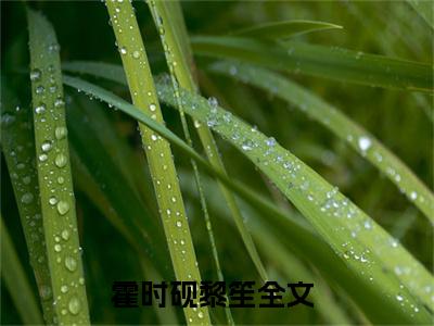 霍时砚黎笙精选小说-霍时砚黎笙全章节(霍时砚黎笙)完整小说