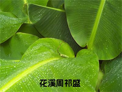 花溪周祁盛完整版全文在线赏析-花溪周祁盛全文在线阅读