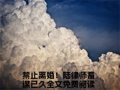 华浓陆敬安（禁止离婚！陆律师蓄谋已久）小说全文免费阅读正版无弹窗_（禁止离婚！陆律师蓄谋已久）免费阅读无弹窗最新章节列表