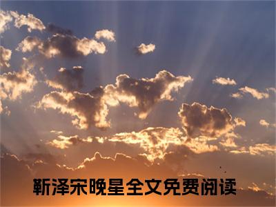 靳泽宋晚星（晚星予你）全文免费阅读无弹窗大结局_靳泽宋晚星免费最新章节列表_笔趣阁