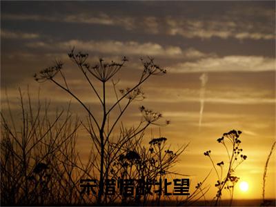 宋惜惜战北望全文免费阅读-小说推荐宋惜惜战北望精彩章节在线阅读