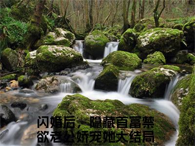 闪婚后，隐藏首富禁欲老公娇宠她（徐东野许青烟小说全文）在线阅读-闪婚后，隐藏首富禁欲老公娇宠她全文免费阅读大结局