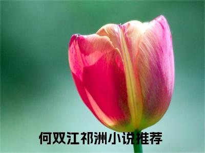 何双江祁洲全文免费阅读无弹窗，何双江祁洲小说最新章节列表无删减_笔趣阁