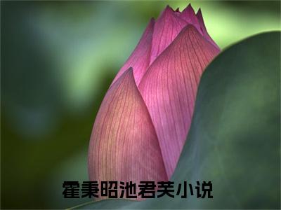 霍秉昭池君芙（霍秉昭池君芙）热门小说在哪免费看-霍秉昭池君芙小说全章节阅读