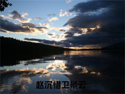 赵沉惜卫景云小说_主角叫：赵沉惜卫景云的小说全文免费阅读无弹窗