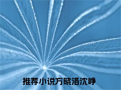 （方晓洛沈峥）八零热辣军婚，假千金当后妈养崽全文免费阅读无弹窗大结局_八零热辣军婚，假千金当后妈养崽最新章节列表笔趣阁（方晓洛沈峥）