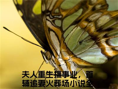 谢云戈宋青蓝在线阅读（夫人重生搞事业，首辅追妻火葬场）全文免费阅读无弹窗大结局_（谢云戈宋青蓝全文免费阅读）最新章节列表