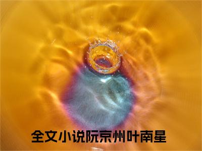 阮京州叶南星免费小说 阮京州叶南星在线小说免费阅读目录