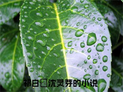 祁白璟沈灵芽（祁白璟沈灵芽）微小说-祁白璟沈灵芽最新章节免费阅读