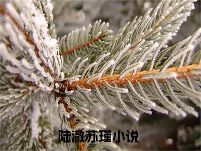 陆二叔，你轻点宠！（陆澈苏瑾）全文免费阅读无弹窗大结局_（陆二叔，你轻点宠！免费阅读）陆澈苏瑾无弹窗最新章节列表