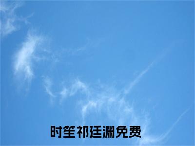 时笙祁廷渊的小说（时笙祁廷渊）全文免费阅读