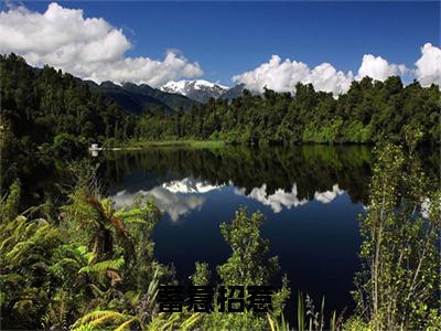 蓄意招惹小说（陆烬城姜清雾全文完整版免费阅读）_蓄意招惹小说免费最新章节列表_笔趣阁