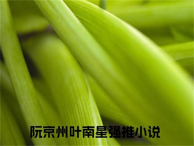 阮京州叶南星(阮京州叶南星)全文免费阅读无弹窗大结局_(阮京州叶南星免费阅读全文大结局)阮京州叶南星最新章节列表_笔趣阁（阮京州叶南星）