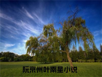 阮京州叶南星（阮京州叶南星）全文免费阅读无弹窗大结局_（阮京州叶南星全文免费阅读无弹窗）最新章节列表_笔趣阁