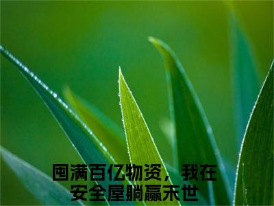 后续+免费囤满百亿物资，我在安全屋躺赢末世（苏柠周娇娇）全文小说在线阅读-囤满百亿物资，我在安全屋躺赢末世全章节最新阅读