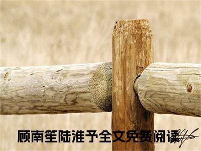 顾南笙陆淮予最新章节（顾南笙陆淮予）全文免费阅读无弹窗大结局_顾南笙陆淮予免费阅读（顾南笙陆淮予）