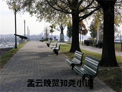 孟云晚贺知尧（孟云晚贺知尧）全文免费阅读无弹窗大结局_孟云晚贺知尧全文免费阅读（孟云晚贺知尧）最新章节列表_笔趣阁（孟云晚贺知尧）