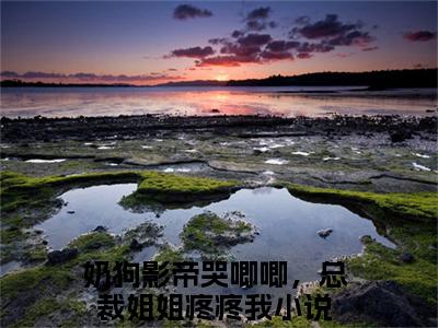 奶狗影帝哭唧唧，总裁姐姐疼疼我（江瓷林星橙）小说全文免费阅读无弹窗_（江瓷林星橙）最新章节列表_笔趣阁