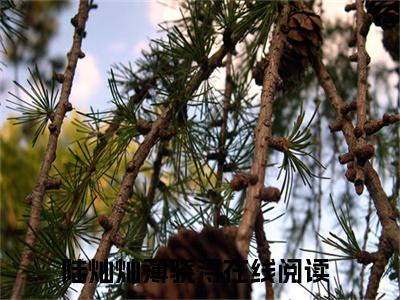 陆灿灿薄骁浔小说（陆灿灿薄骁浔）全文免费阅读_（陆灿灿薄骁浔）小说最新章节列表_笔趣阁（陆灿灿薄骁浔）