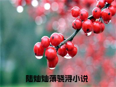 陆灿灿薄骁浔小说（陆灿灿薄骁浔）全文免费阅读无弹窗大结局_陆灿灿薄骁浔最新章节列表_