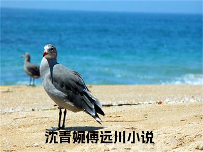 沈青婉傅远川免费阅读（沈青婉傅远川）完整版全文全章节阅读