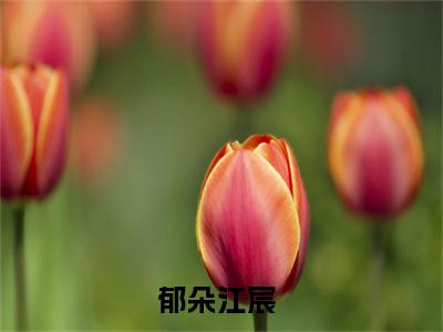 郁朵江宸分享一本言情小说 郁朵江宸免费章节试读