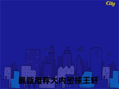 大内密探王轩（大内密探王轩）全文免费阅读无弹窗大结局_(大内密探王轩最新章节在线阅读)_笔趣阁