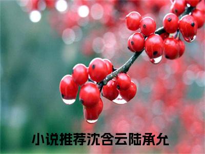 沈含云陆承允免费完本小说 沈含云陆承允精彩章节在线阅读