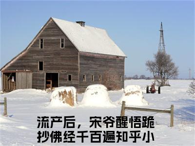 （流产后，宋爷醒悟跪抄佛经千百遍）宋慕暄沈吟全文免费阅读无弹窗大结局_宋慕暄沈吟最新章节列表笔趣阁（流产后，宋爷醒悟跪抄佛经千百遍）