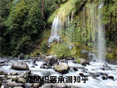 小说(桑茴织容承渊)全文免费阅读_(桑茴织容承渊)小说全文免费阅读